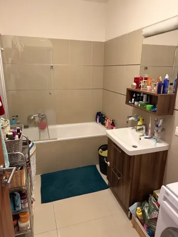 Pronájem bytu 3+kk, Plzeň, U Velkého rybníka, 104 m2