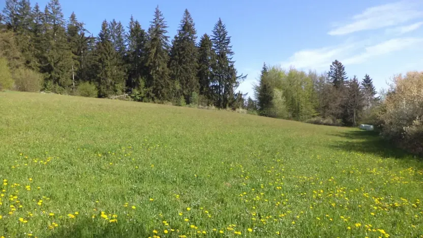 Prodej pole, Mokrosuky, 9910 m2