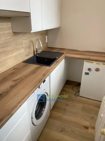 Pronájem bytu 1+kk, Praha - Podolí, Kaplická, 25 m2