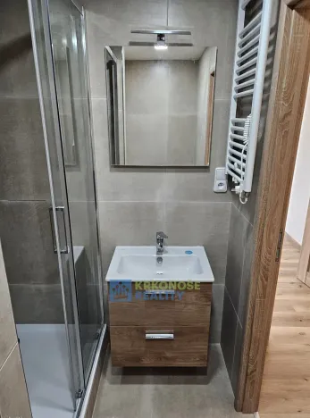 Pronájem bytu 1+kk, Praha - Podolí, Kaplická, 25 m2
