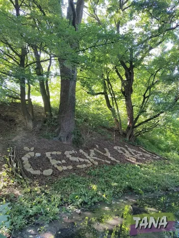 Prodej pozemku, Březina, 842 m2
