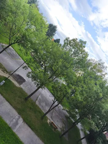 Prodej bytu 2+1, Orlová, Ke Studánce, 51 m2