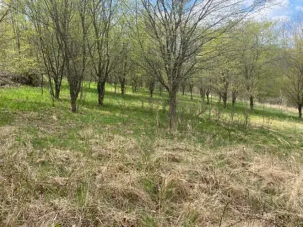 Prodej pozemku pro bydlení, Sázava, 7630 m2