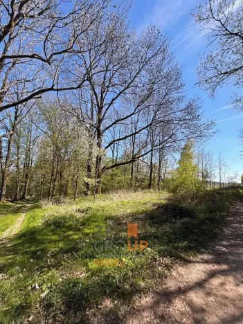 Prodej pozemku pro bydlení, Rožmitál na Šumavě, 7156 m2
