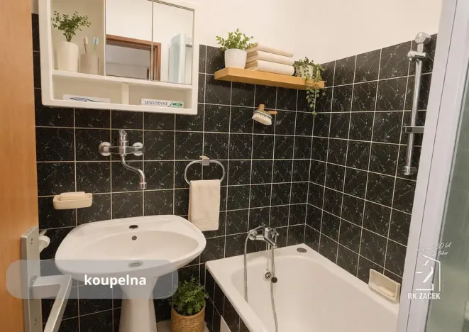 Prodej rodinného domu, České Budějovice - České Budějovice 6, Zeyerova, 197 m2