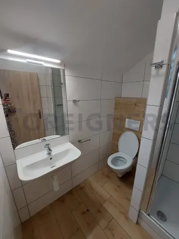 Pronájem bytu 1+kk, Olomouc, Ztracená, 20 m2