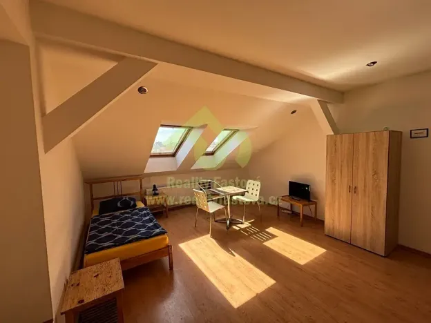 Prodej vícegeneračního domu, Plzeň, 776 m2