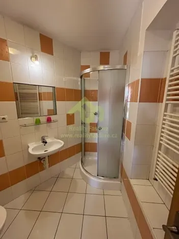 Prodej vícegeneračního domu, Plzeň, 776 m2