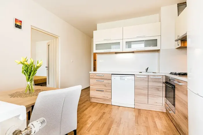 Prodej bytu 2+kk, Brno, Horácké náměstí, 47 m2
