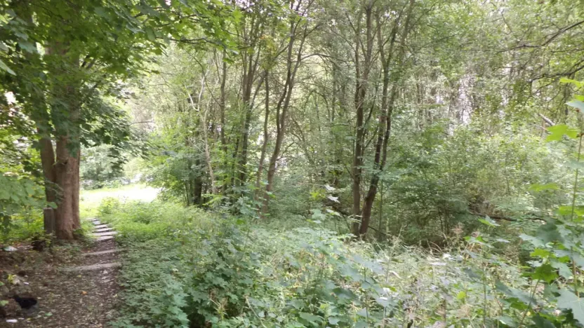 Prodej pozemku, Aš, 1755 m2