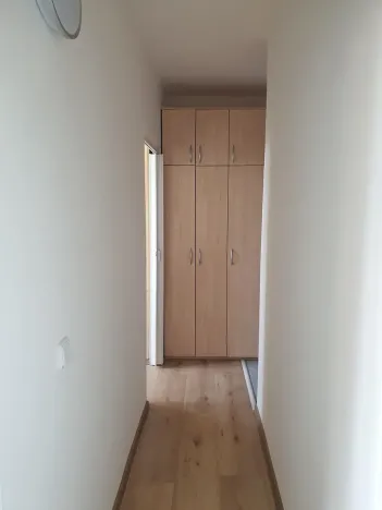 Pronájem bytu 2+kk, Brno, Svážná, 47 m2