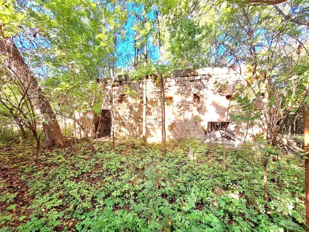Prodej zemědělské usedlosti, Kanina, 500 m2
