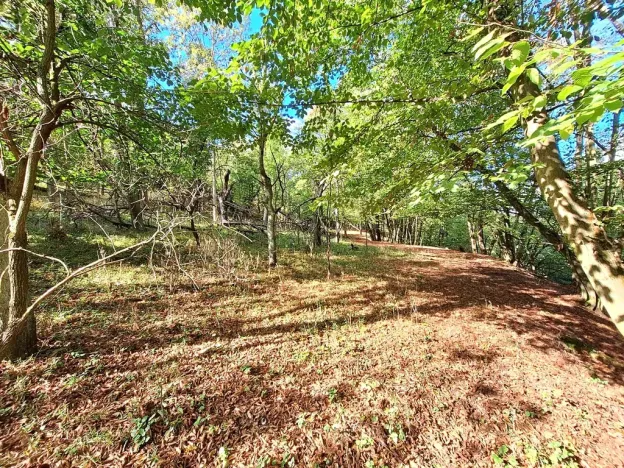 Prodej zemědělské usedlosti, Kanina, 500 m2