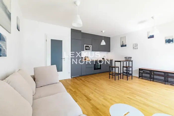 Pronájem bytu 1+kk, Praha - Žižkov, U Viktorie, 40 m2