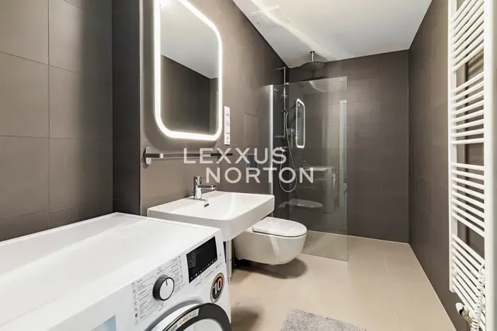 Pronájem bytu 1+kk, Praha - Žižkov, U Viktorie, 40 m2