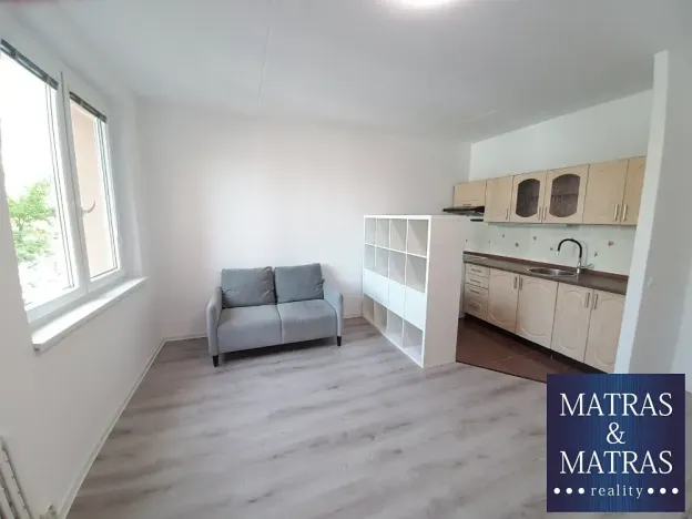 Pronájem bytu 1+kk, Brno, Spodní, 30 m2