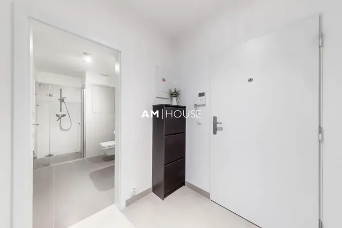 Pronájem bytu 1+kk, Praha - Karlín, Sokolovská, 38 m2