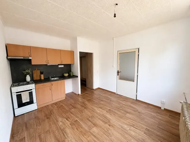 Pronájem bytu 1+1, Litvínov, Čapkova, 38 m2