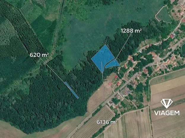 Prodej podílu lesa, Brod nad Dyjí, 3867 m2
