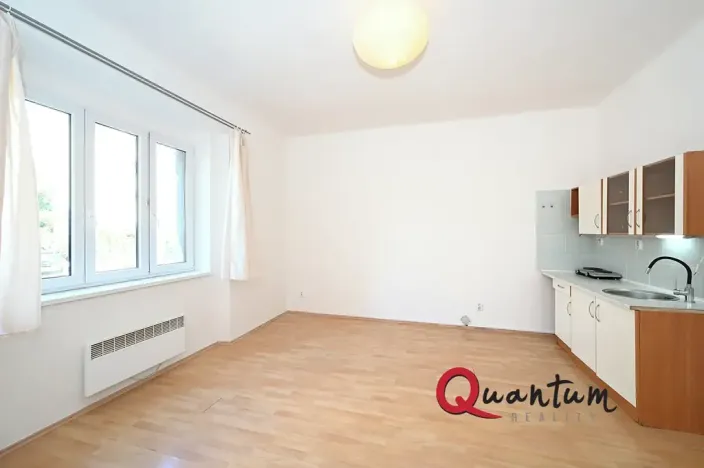 Pronájem bytu 1+kk, Praha - Nusle, V zálomu, 33 m2