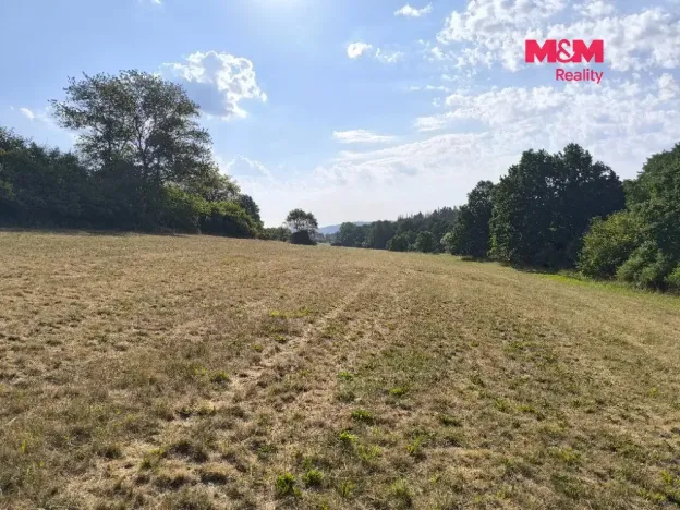 Prodej louky, Hoslovice, 33748 m2