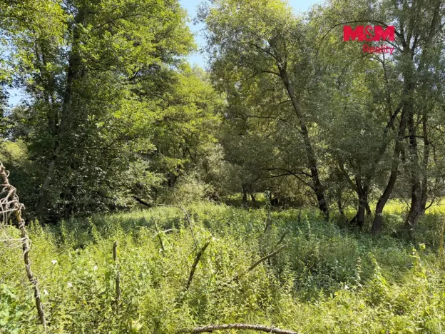 Prodej rybníku, Dolní Hořice - Pořín, 8552 m2
