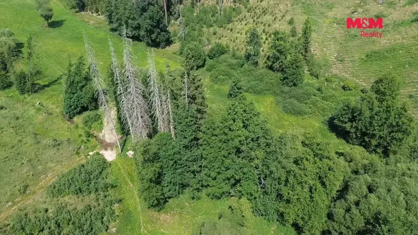 Prodej rybníku, Dolní Hořice - Pořín, 8552 m2
