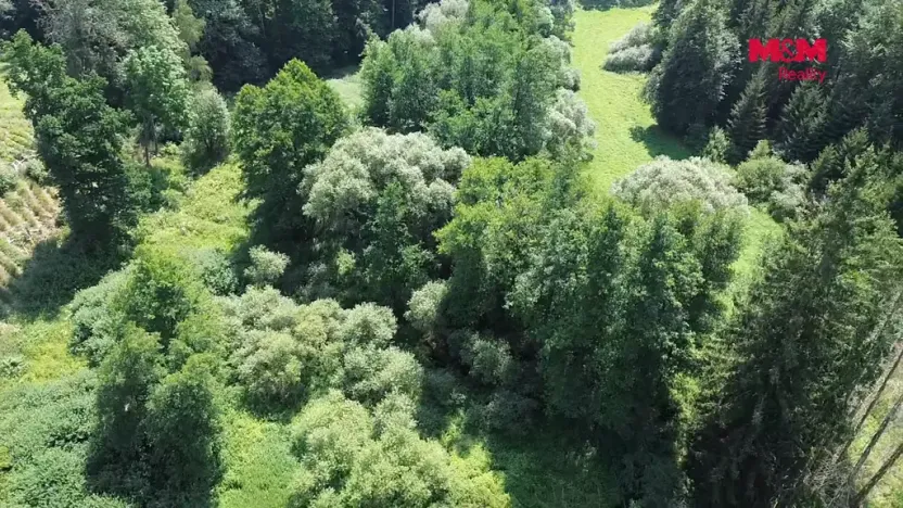Prodej rybníku, Dolní Hořice - Pořín, 8552 m2