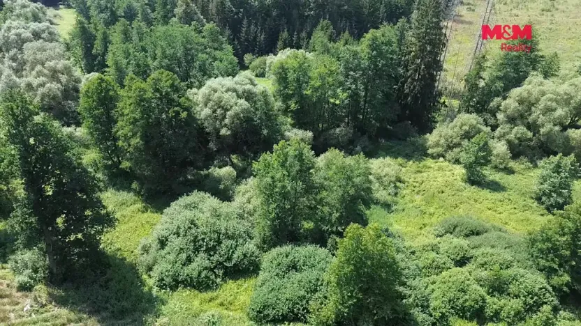 Prodej rybníku, Dolní Hořice - Pořín, 8552 m2