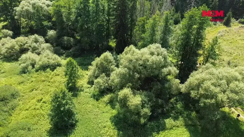 Prodej rybníku, Dolní Hořice - Pořín, 8552 m2