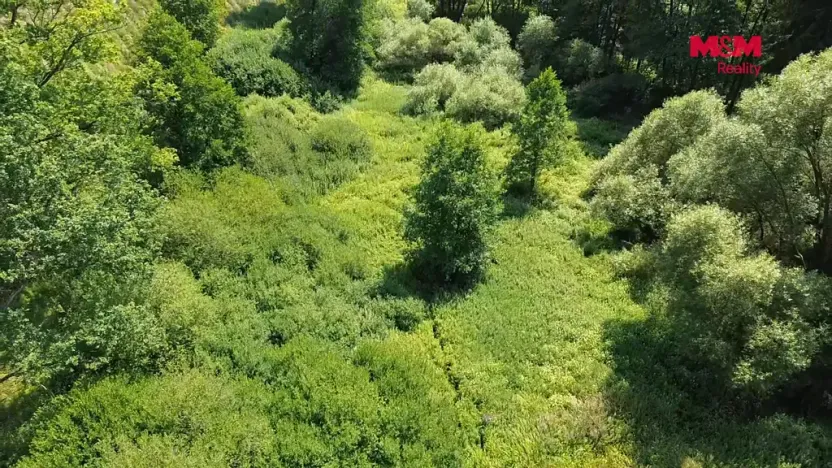 Prodej rybníku, Dolní Hořice - Pořín, 8552 m2