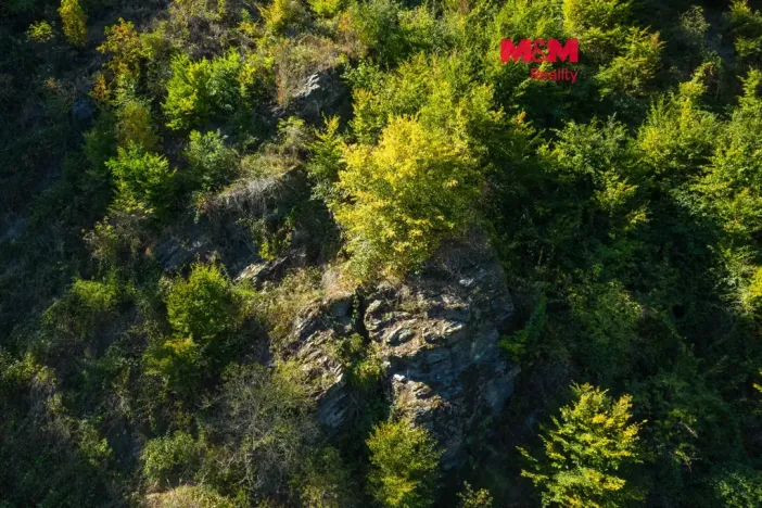 Prodej lesa, Lomnice, 7450 m2