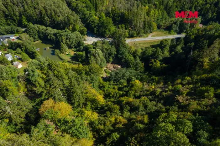 Prodej lesa, Lomnice, 7450 m2