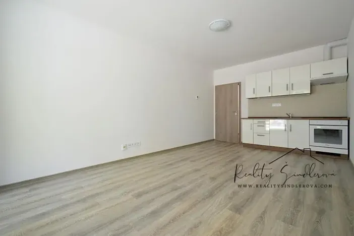 Pronájem bytu 1+kk, Olomouc, Frištenského, 32 m2