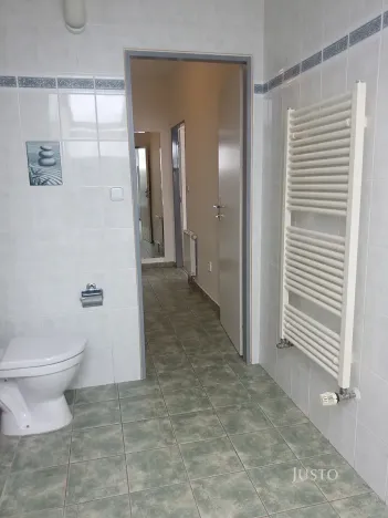 Prodej bytu 1+kk, Písek, Hostivítova, 35 m2