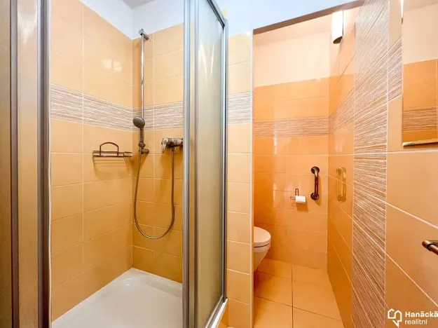 Prodej bytu 1+1, Olomouc, U cukrovaru, 33 m2