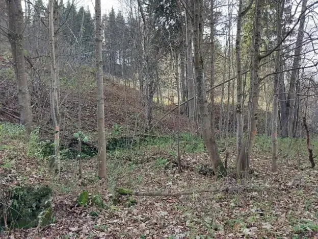 Prodej pozemku, Zlaté Hory, 384 m2