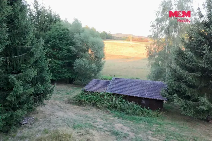 Prodej zahrady, Bělá nad Radbuzou, 6001 m2