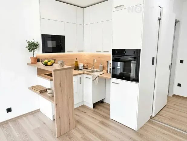 Pronájem bytu 1+kk, České Budějovice, Plzeňská, 19 m2