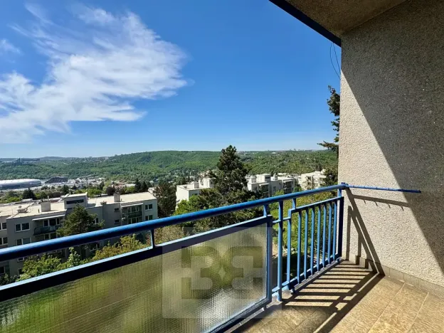 Prodej bytu 2+1, Brno, Rezkova, 61 m2