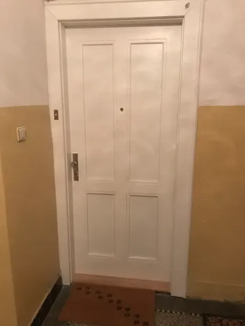 Pronájem bytu 2+kk, Praha - Žižkov, Hartigova, 50 m2