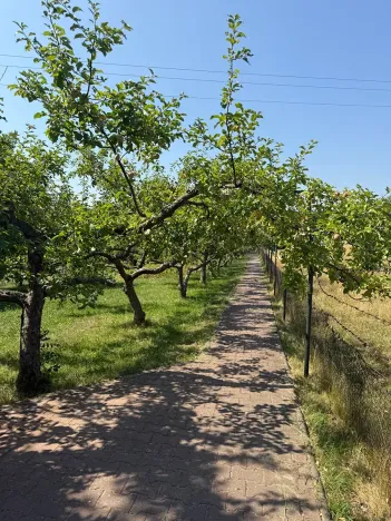 Prodej rodinného domu, Kostelany, 107 m2