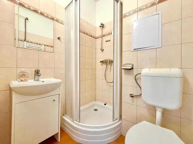 Pronájem bytu 1+kk, Brno, Halasovo náměstí, 26 m2