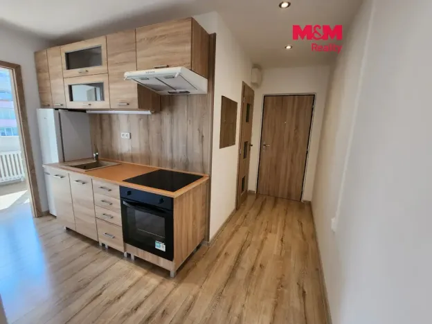 Prodej bytu 1+1, Louny, Slovenského národního povstání, 41 m2