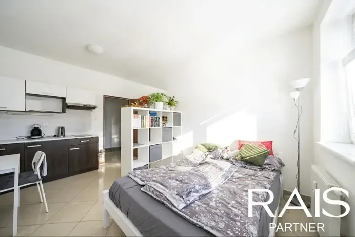 Prodej bytu 1+kk, Brno, Svitavská, 30 m2