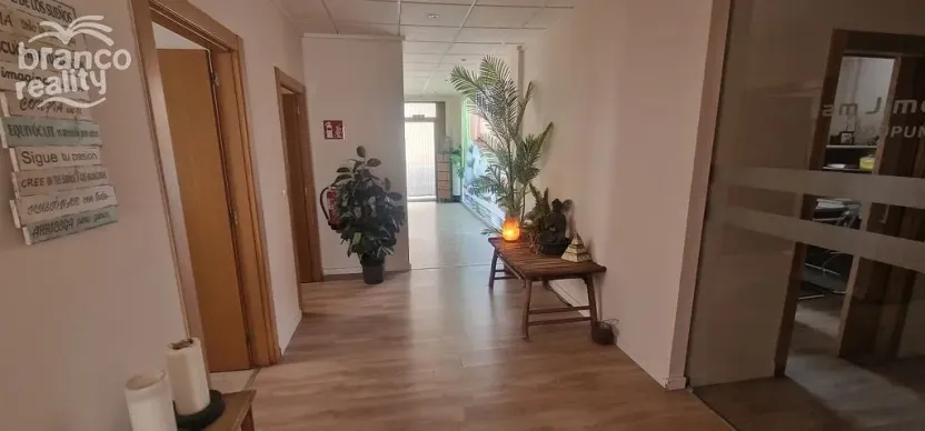 Prodej komerční, Ciudad Quesada, Alicante, Španělsko, 180 m2