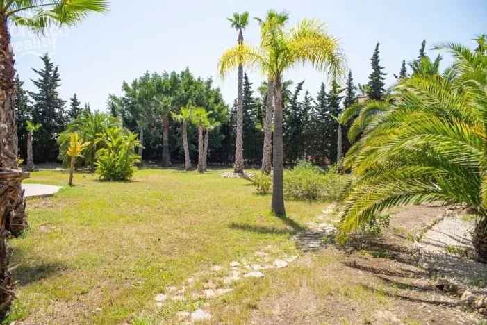 Prodej rodinného domu, Ciudad Quesada, Alicante, Španělsko, 400 m2
