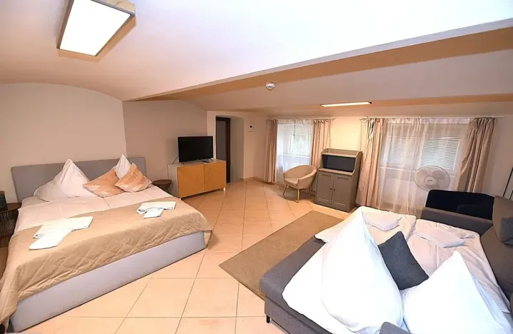 Prodej bytu 6+kk a větší, Praha - Nové Město, Hálkova, 224 m2