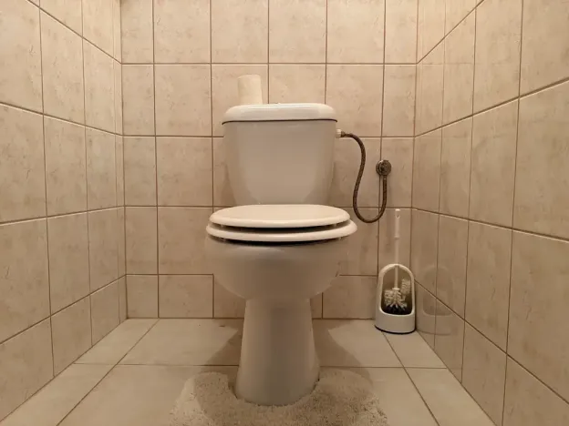 Pronájem bytu 2+1, Kokory, 64 m2