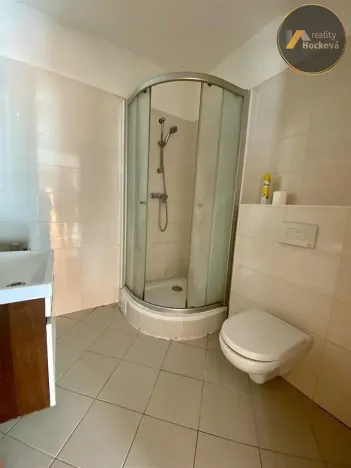 Pronájem bytu 2+kk, Slaný, Wilsonova, 48 m2